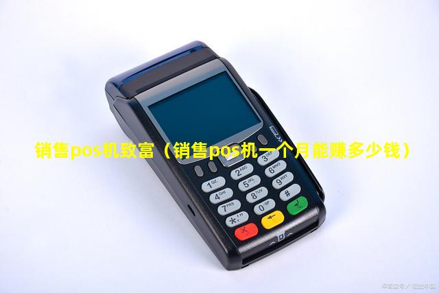 销售pos机致富（销售pos机一个月能赚多少钱）